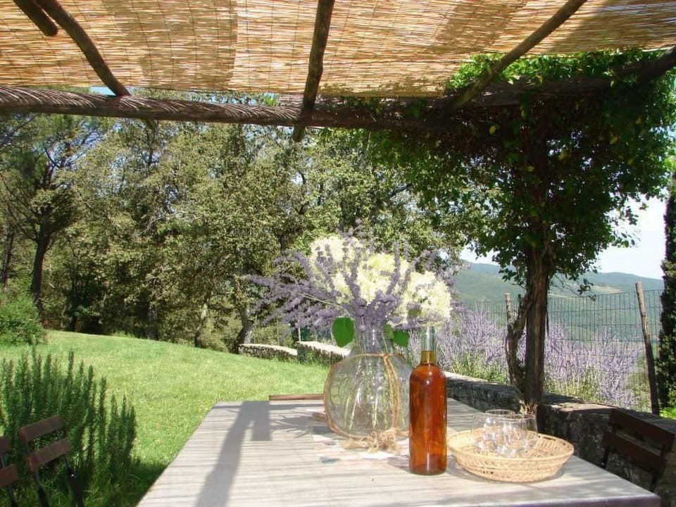 'La Torre' mit Terrasse Vacation rental in Tuscany