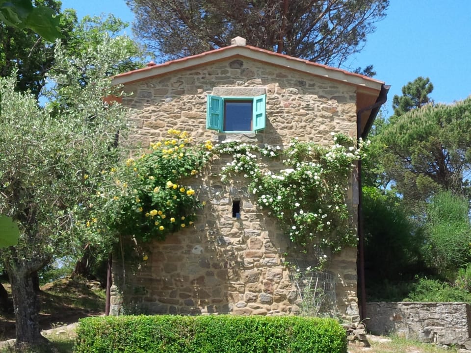 Anwesen mit Terrasse Apartment in Tuscany