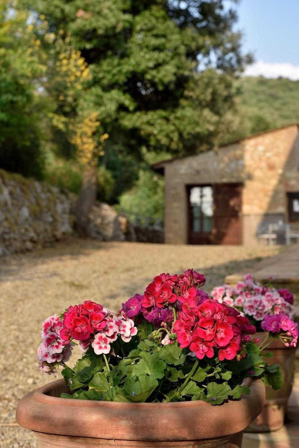 Wohnung 'Mascie rondini' mit Terrasse Apartment in Tuscany