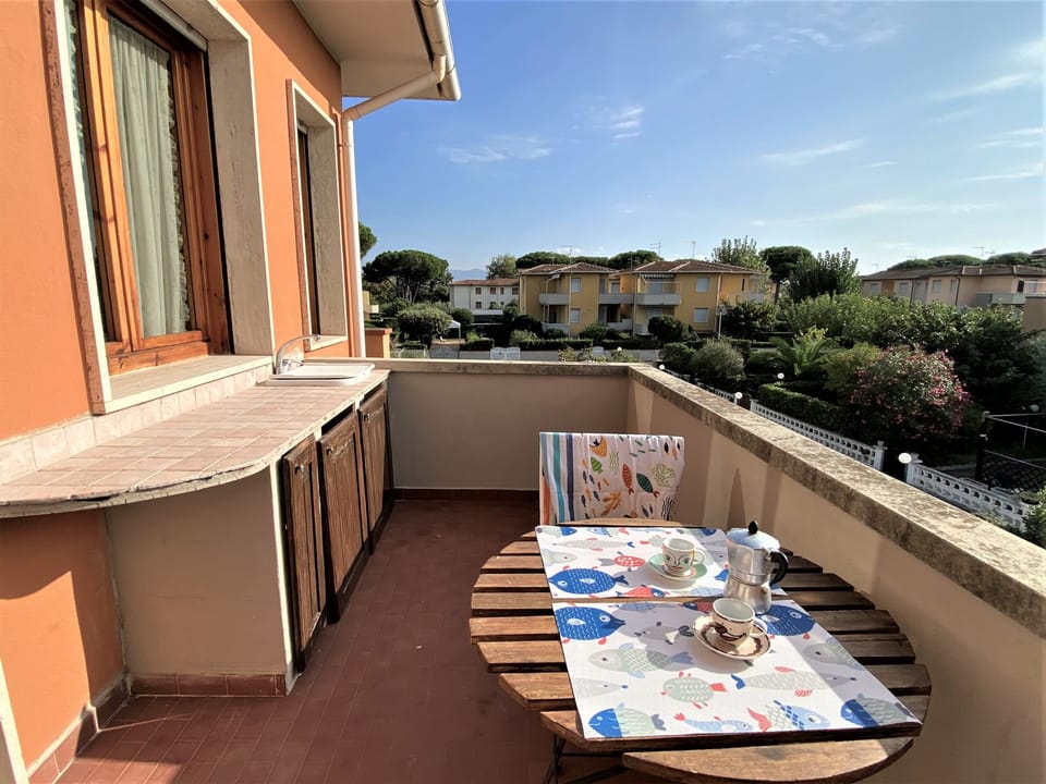 Terrace