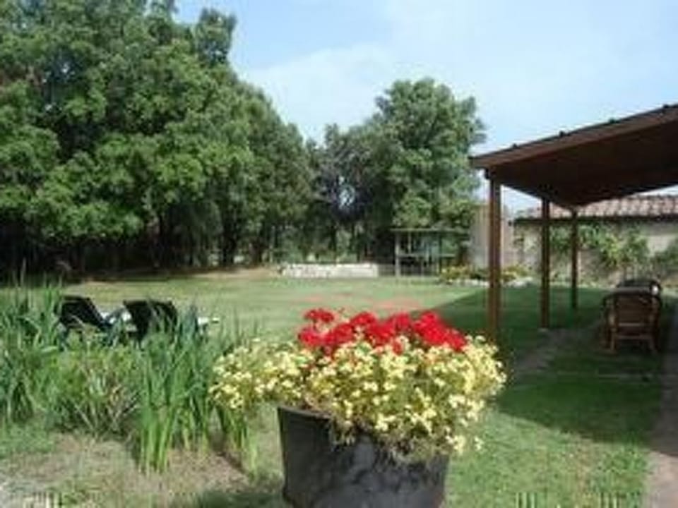 Agriturismo San Ansanino Vacation rental in Tuscany