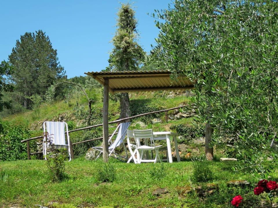 Outdoor