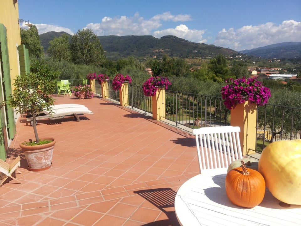 Terrace