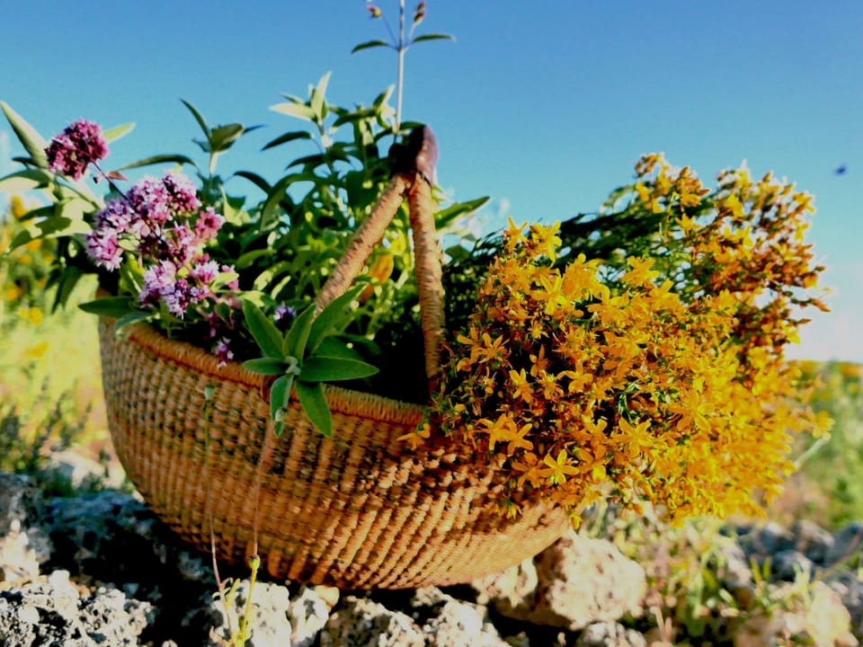 Ruhiges Ferienhaus mit Garten und Panoramablick Vacation rental in Tuscany