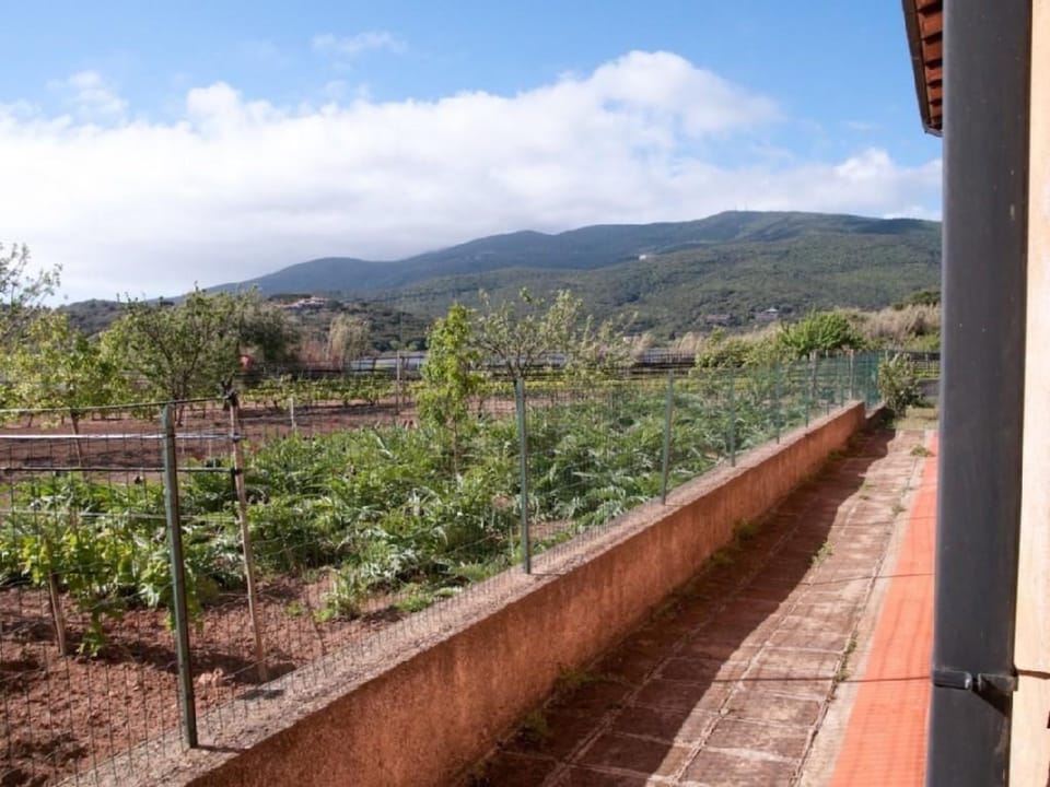 Wohnung mit Wasserblick Apartment in Giannella
