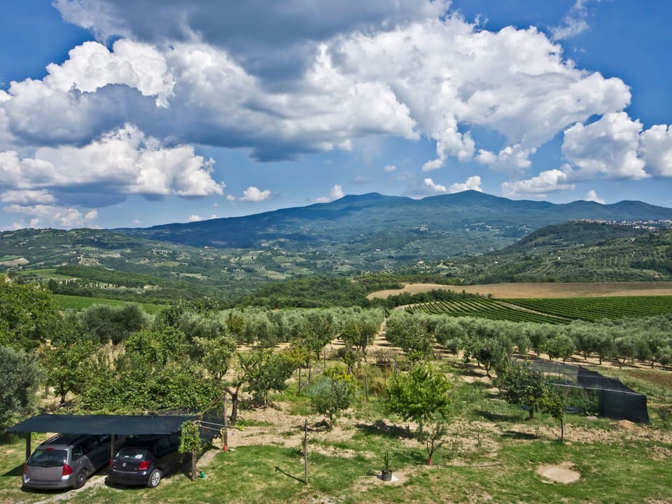 'Villa RosaSpina Vacation rental in Tuscany