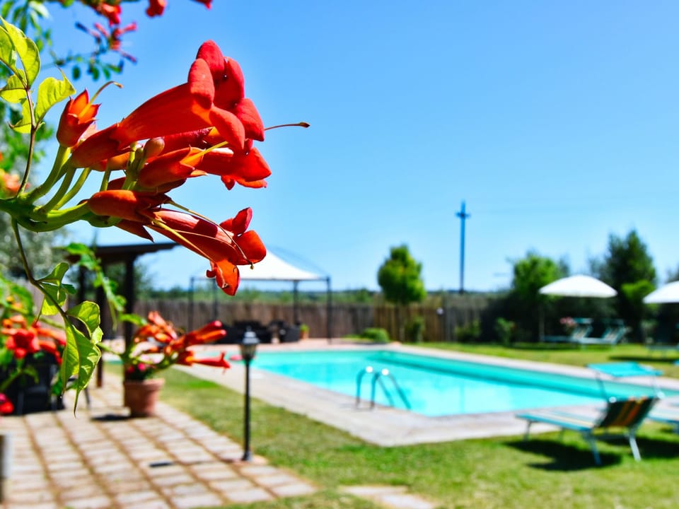 Pool Outdoor
