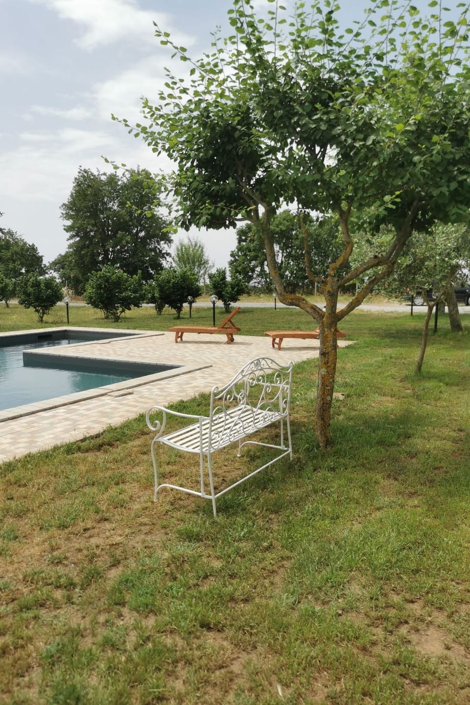Pool Outdoor