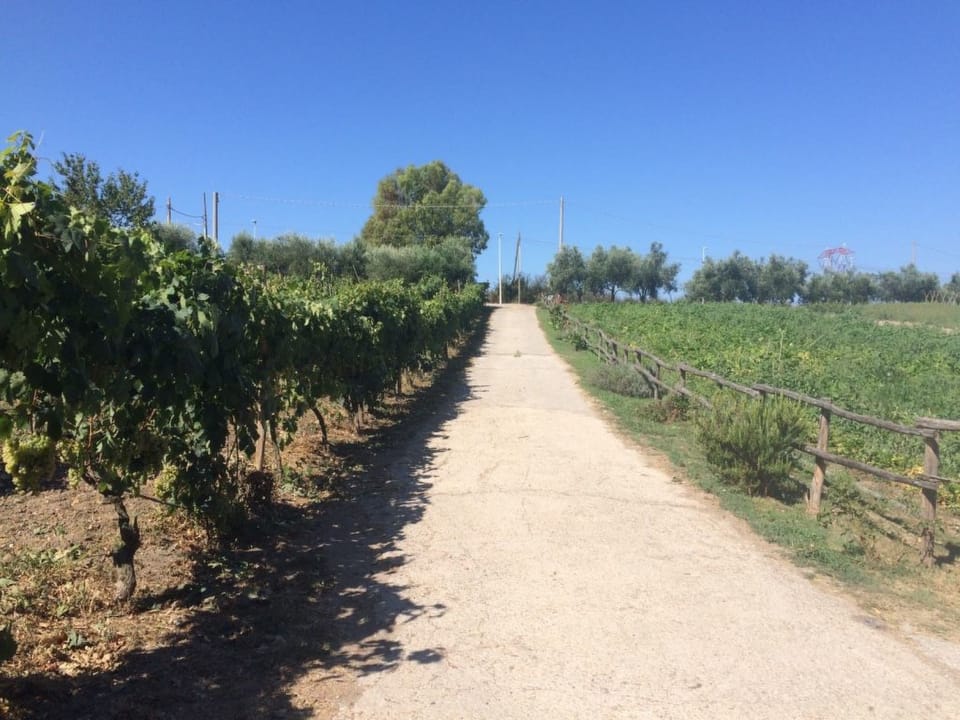 Lets di Proietti' Ferienhaus Vacation rental in Lazio