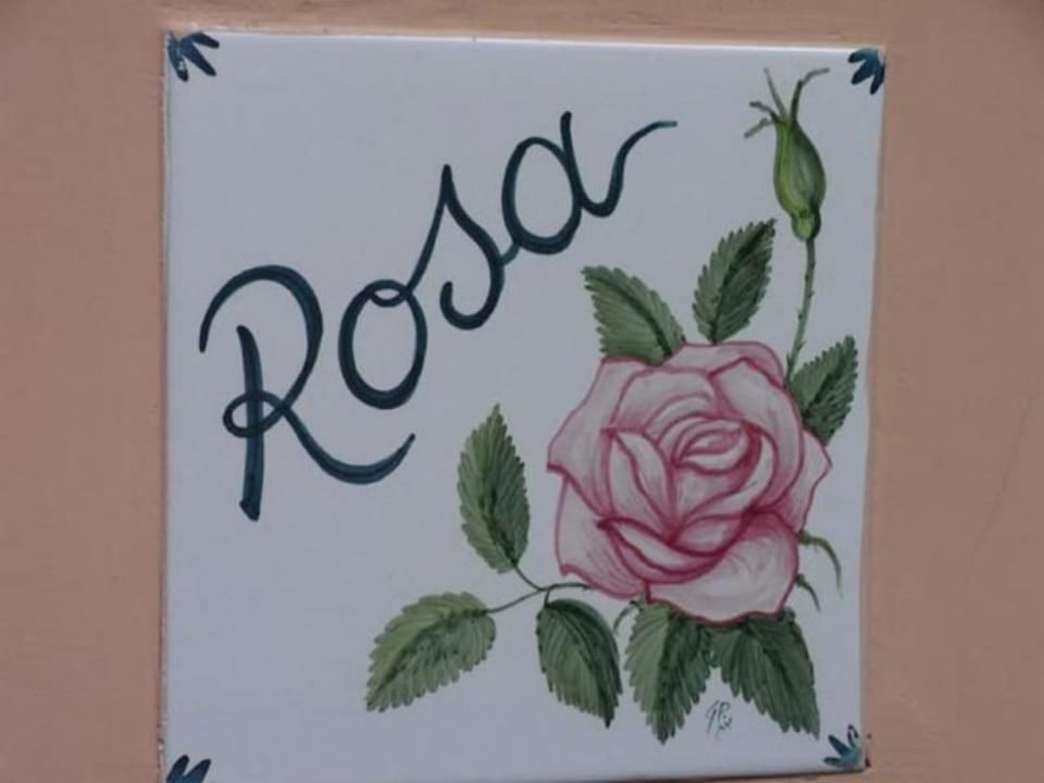 Rosa' Wohnung mit privatem Garten Apartment in Sant Agnello
