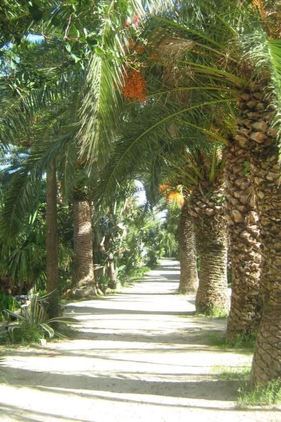 'Marianna' mit Privatparkplatz Vacation rental in Calabria