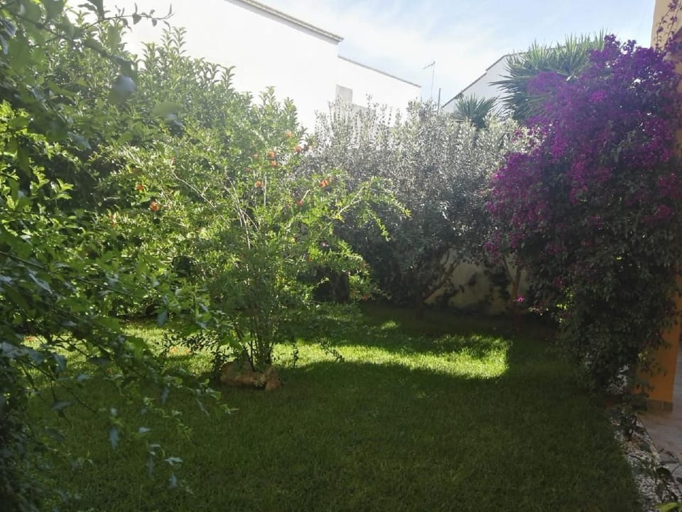 Le Fleur Zwei-Zimmer-Penthouse-Wohnung Apartment in Apulia