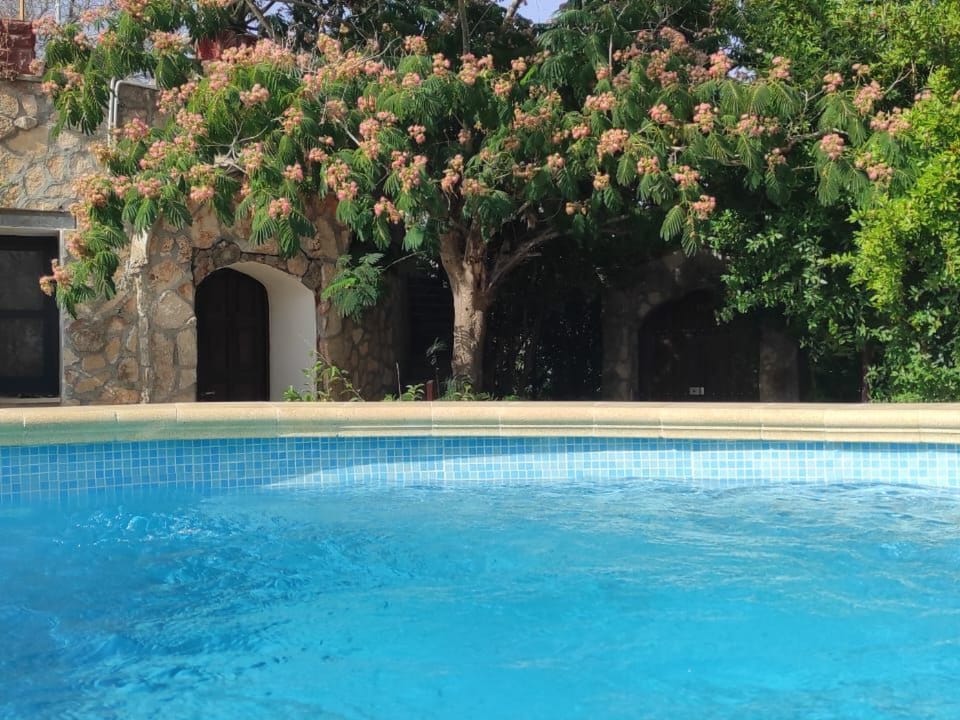 Villa Barone Landhaus mit Pool Vacation rental in Apulia