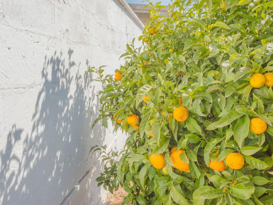 Valentina's Haus Vacation rental in Province of Taranto