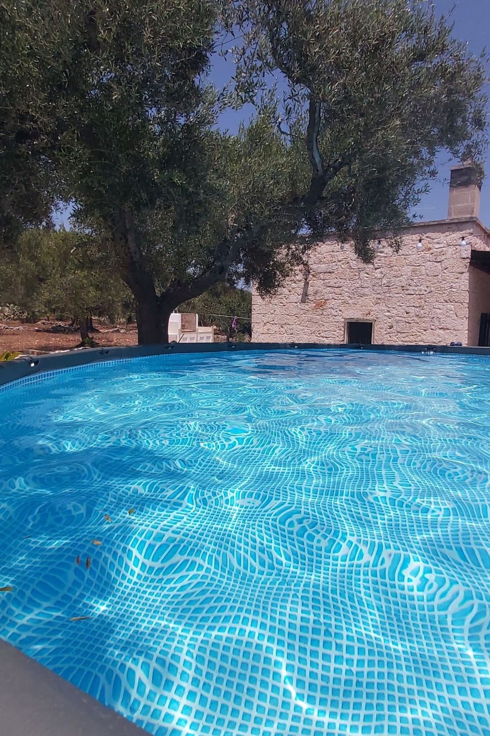 Villa Valle degli Ulivi Apartment in Province of Taranto