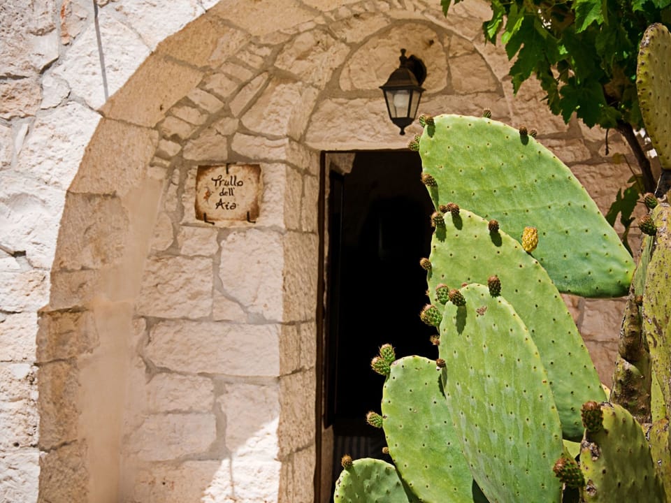 Kirschbaum Trullo, Entspannung und Essen und Wein Vacation rental in Province of Taranto