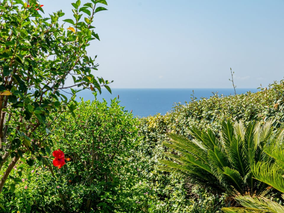 Villa Conchiglia Vacation rental in Sardinia