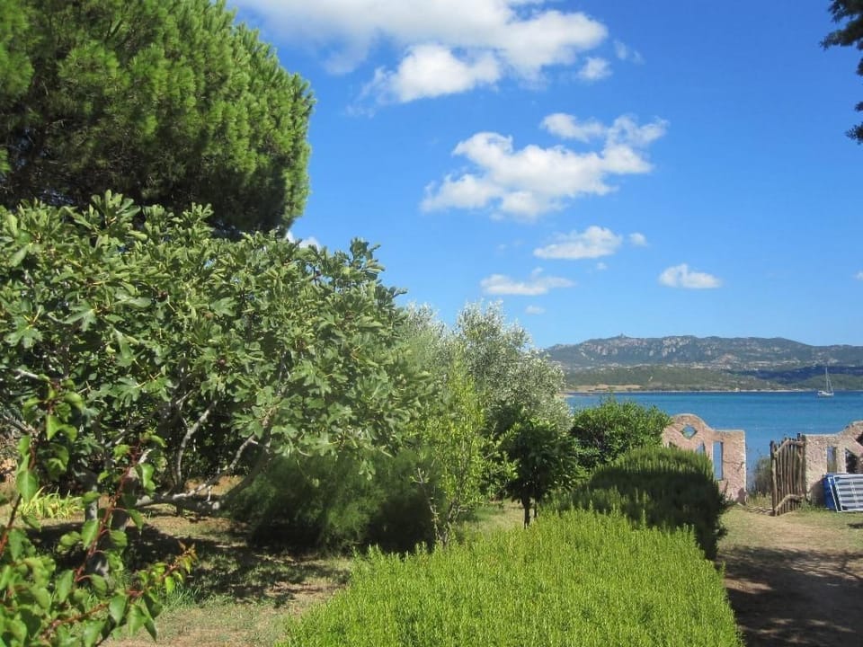 CASA VANNA Vacation rental in Sardinia