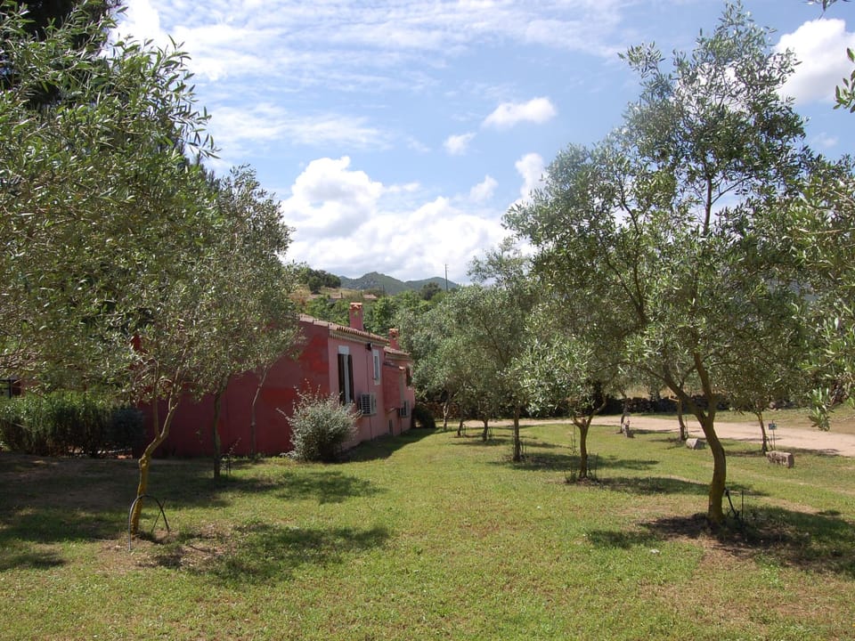 Tenuta 'Olivo Suite' mit Terrasse Vacation rental in Sardinia