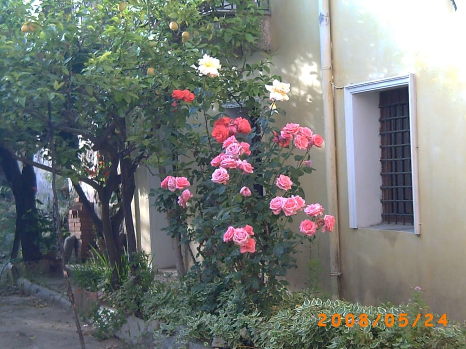 Haus aus dem 19. Jahrhundert Apartment in Baunei