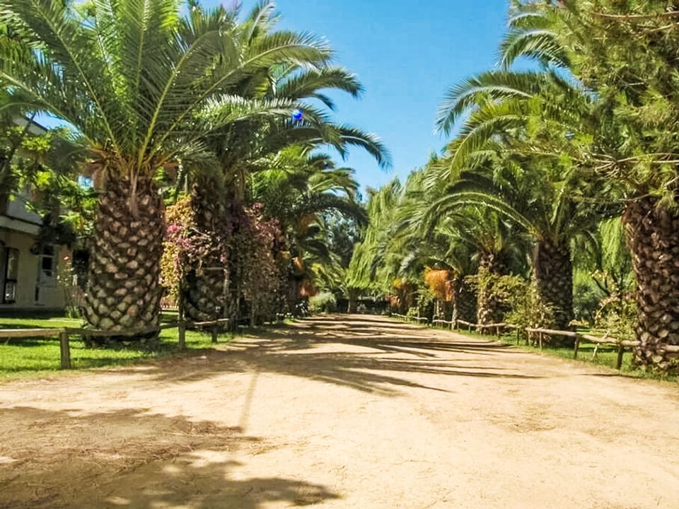 Outdoor
