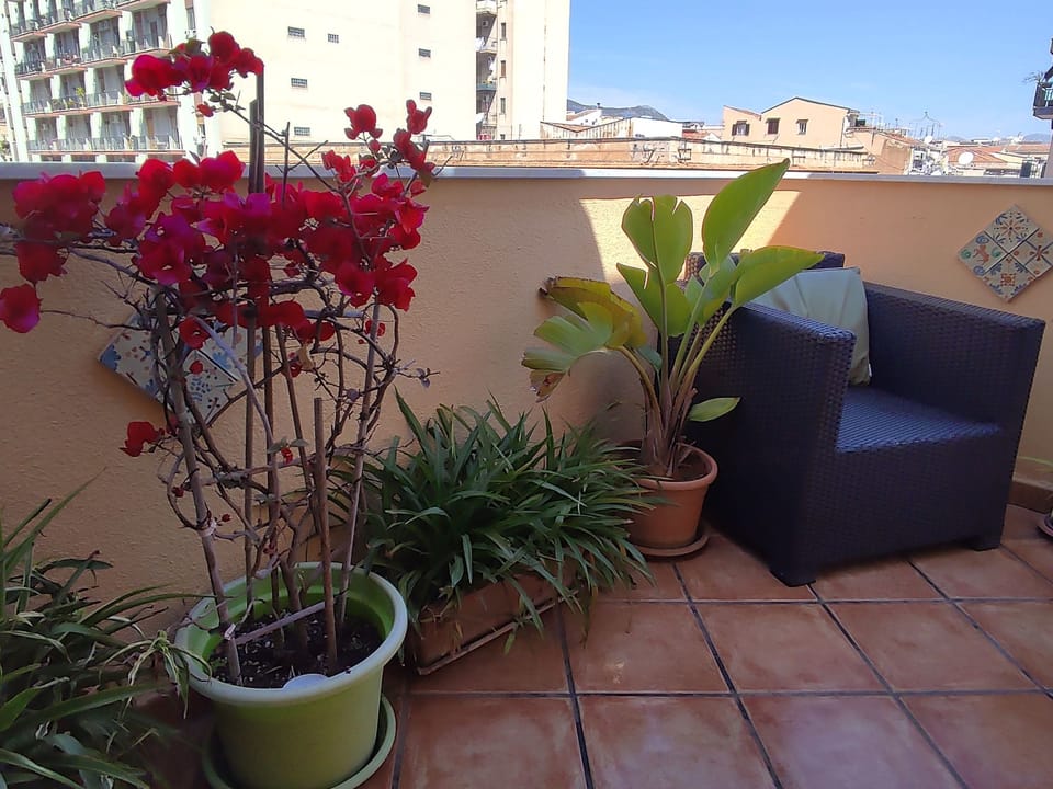 Wohnung mit Terrasse Apartment in Palermo