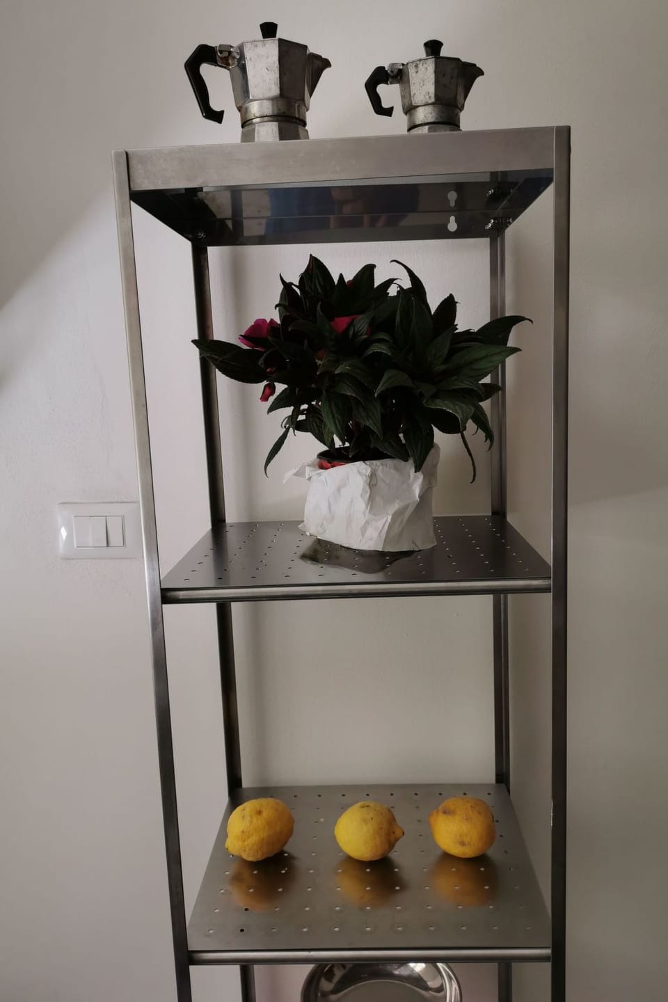 Casa Vacanze Terrasanta Apartment in Palermo