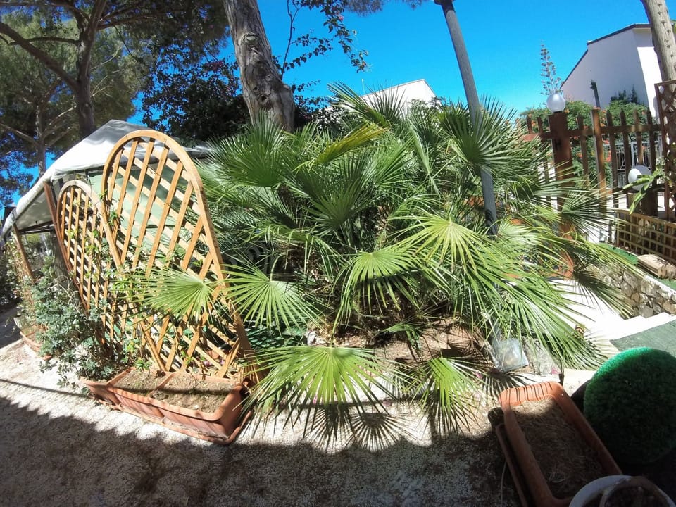 'Villa sul porto Apartment in San Vito Lo Capo