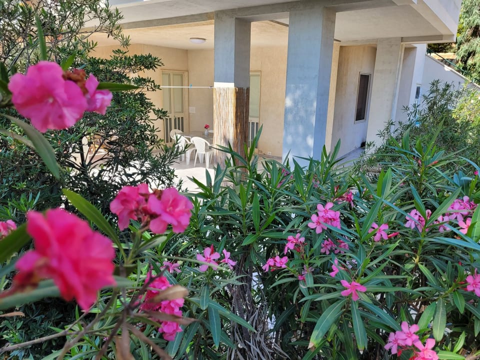 mit grosser Terrasse direkt am Meer Apartment in Marina di Modica