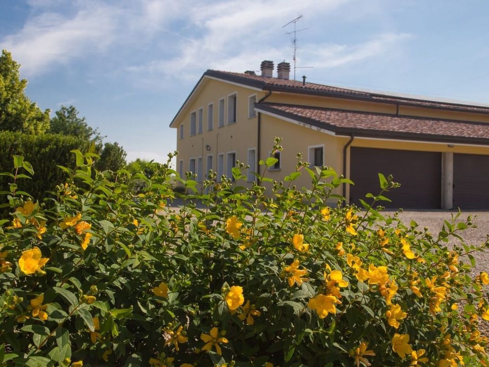 wohnung "Lavanda" mit Privatparkplatz Apartment in Emilia-Romagna