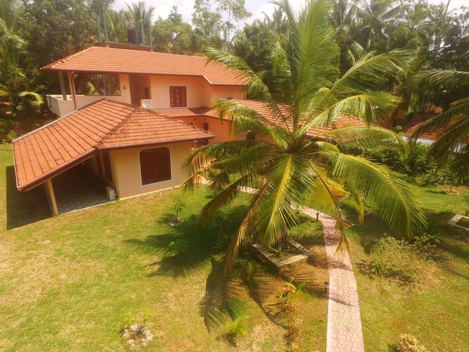 Dolphin Vacation rental in Southern Province