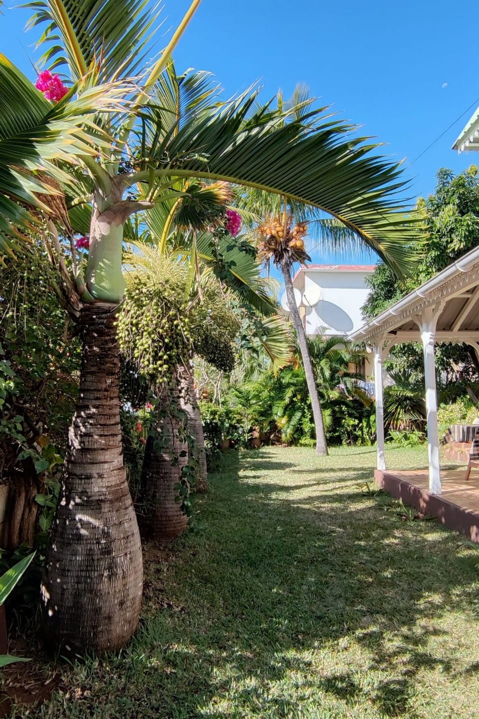 r garden Pointe aux sables Apartment in Rivière Noire District, Mauritius