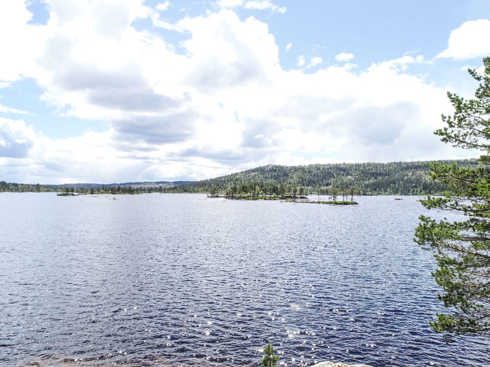 Place