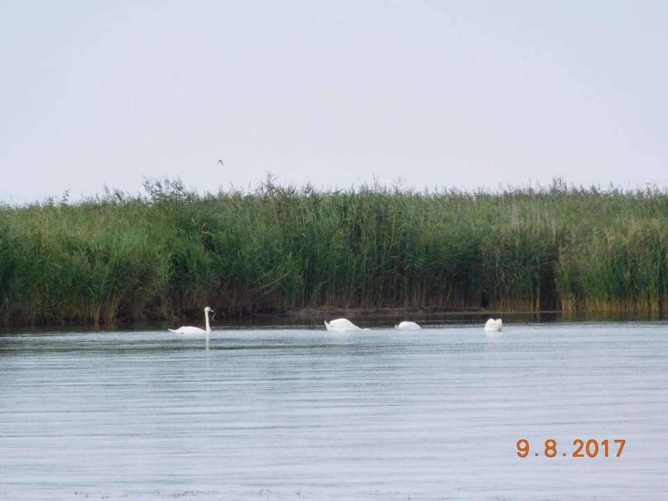 Haus in Karsibór mit Grill, Terrasse und Garten Vacation rental in Swinoujscie