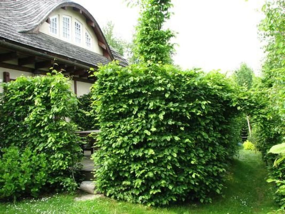 "Sunshine Apartment" Vacation rental in Pomeranian Voivodeship
