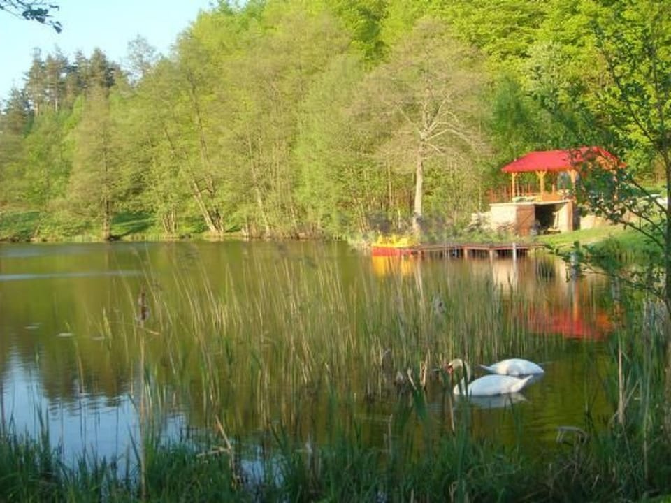 in Kaschubei Vacation rental in Pomeranian Voivodeship