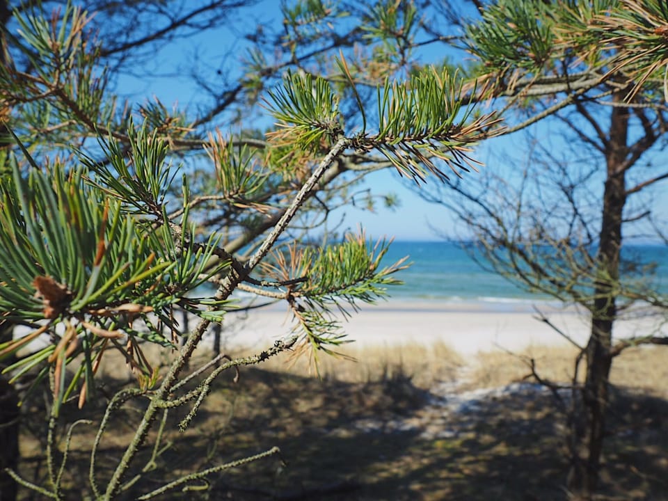 Gestreiftes Haus Vacation rental in Pomeranian Voivodeship