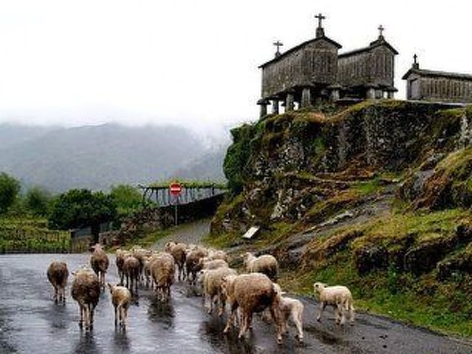 Soajo - Die schönste Gegend von Gerês 2 Apartment in Viana do Castelo District, Portugal