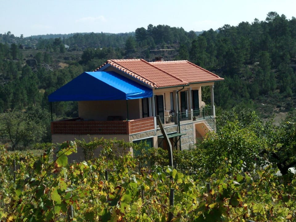 Ferien auf dem Bauernhof mit Weinberg Vacation rental in Portugal