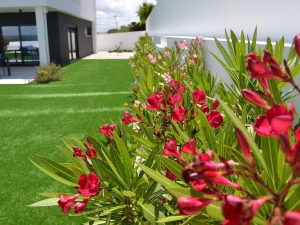 Neue moderne Villa mit privatem Pool Vacation rental in Portugal