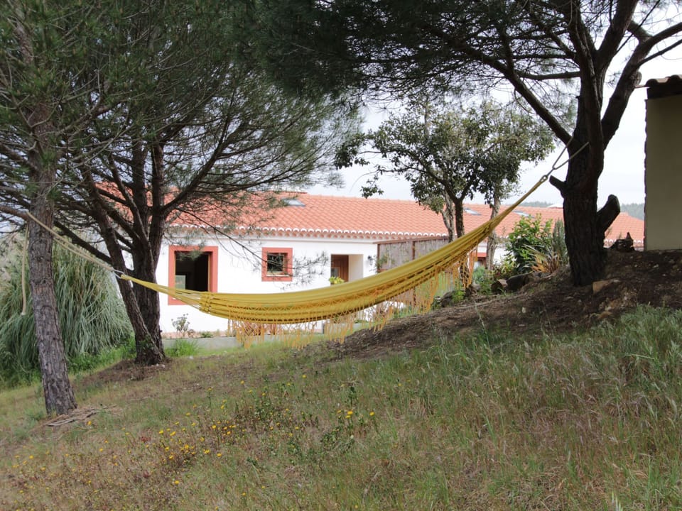 Romantisch und einzigartig "Das Bambus-Apartment Apartment in Odeceixe