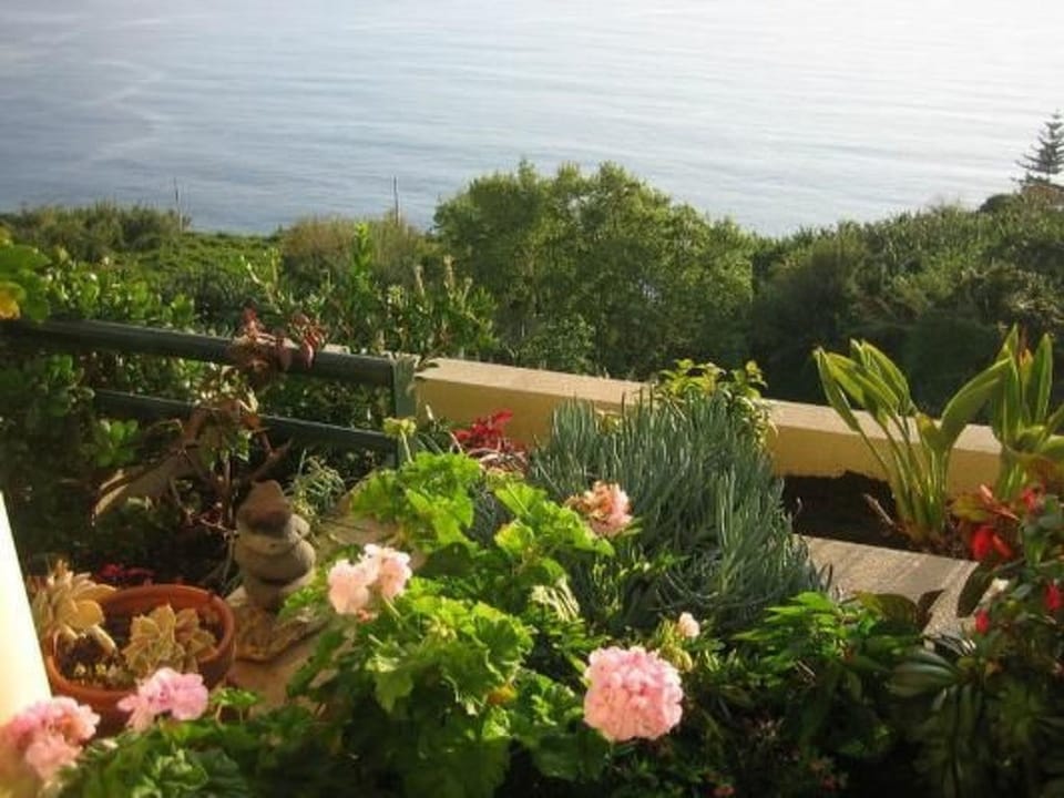 Geräumige Wohnung mit Panoramablick Apartment in Madeira District