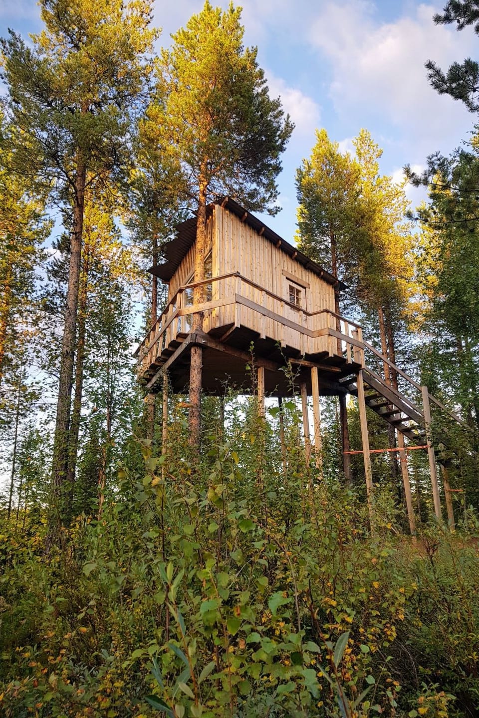 Aurora Lodge Apartment in Norrbotten County, Sweden