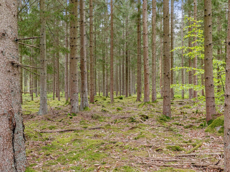Place