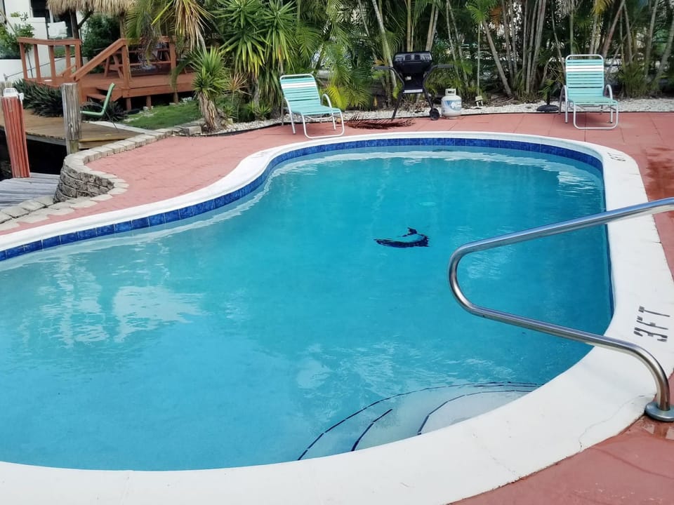 Pool Outdoor