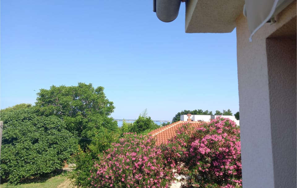 view-from-room