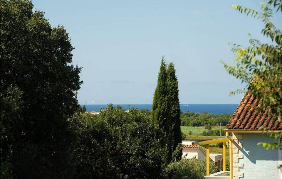 view-from-room