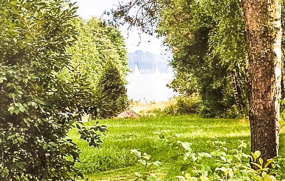 view-from-room