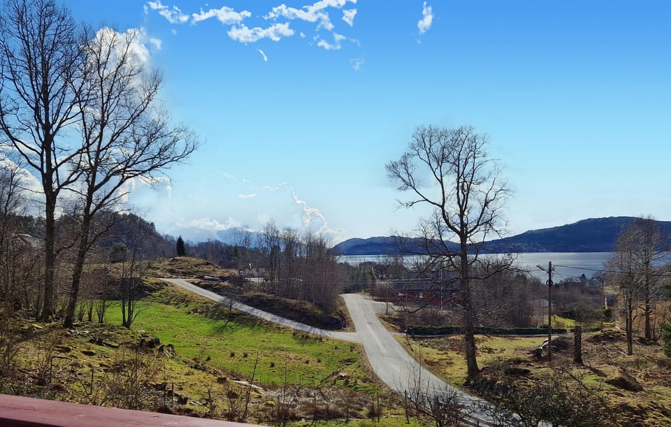 view-from-room