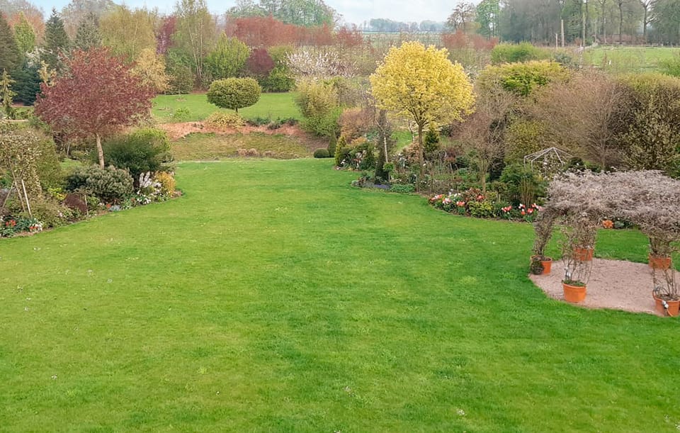view-from-room